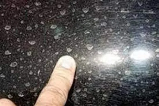 Jamur kaca mobil